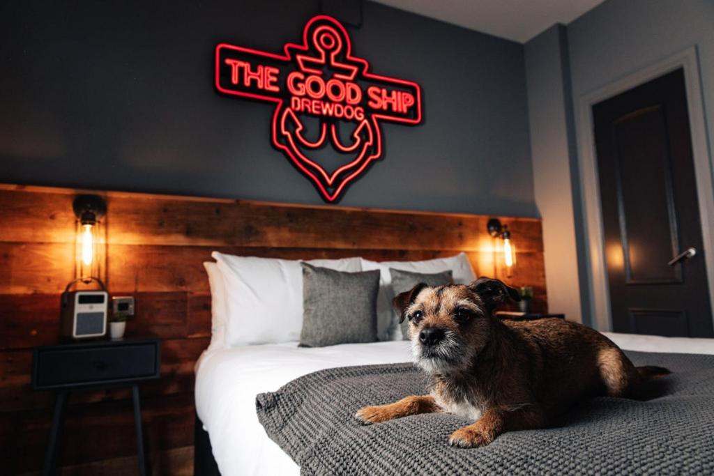 Brewdog Kennels - แอเบอร์ดีน ภายนอก รูปภาพ